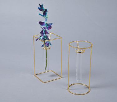 Minimal Metal & Glass Test tube Planter Vases (set of 2)-Chateaux ME