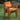 TOSCANA CHAIR WITH ARMS