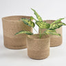 Braided Jute Basket (Set of 3)-Chateaux ME