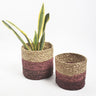 Earthy Sabai Grass Handwoven Planters (Set of 2)-Chateaux ME